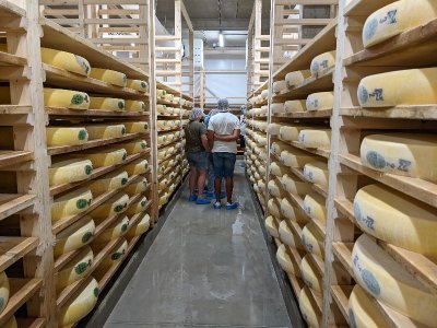 Visite guidée de la fruitière à comté de Passavant
