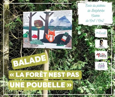 Balade « La forêt n'est pas une poubelle »