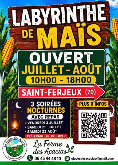 Labyrinthe de maïs pour petits et grands