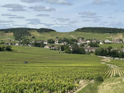 Le Grand Tour du Chalonnais à pied : Etape Chagny à Mercurey