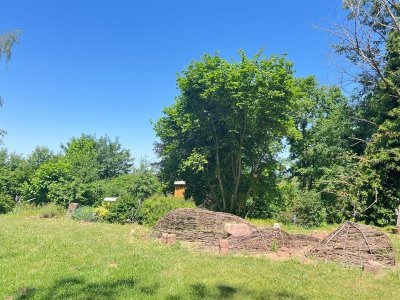 Fête d'été au jardin des poètes