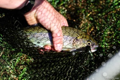 Concours de Pêche au profit du Téléthon