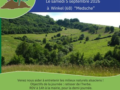 Chantier nature participatif