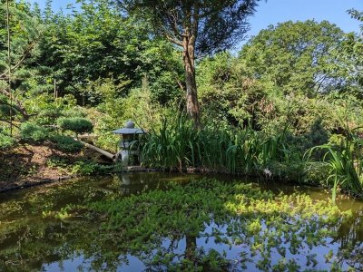 Visite guidée du jardin Mil'feuilles