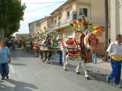 Fête de la Saint Roch des Paluds