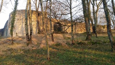 Vestiges du château de Beaufort