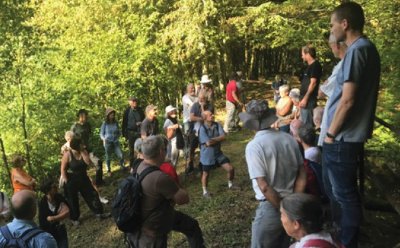Sorties Sylvothérapie - Bains de forêt