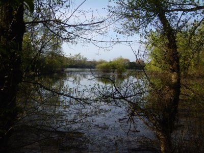 RDV avec Garonne - Balade naturaliste avec l'Auringleta