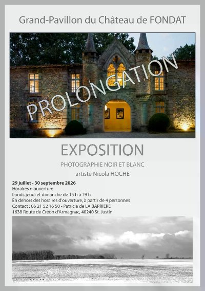 Exposition : Nicola HOCHE