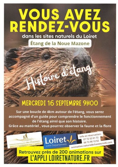 Histoire d'étang