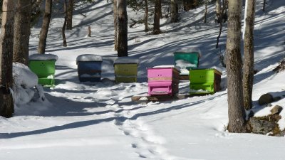 Bibliothèque de Vallorcine