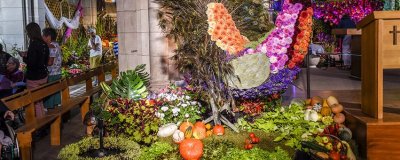 Bibliothèque municipale de Saint-Fiacre