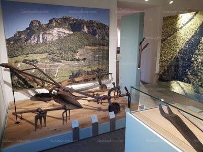 Musée du Vigneron