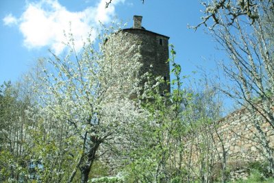 Jardin de Saint-Martin - Ecomusée de Margeride