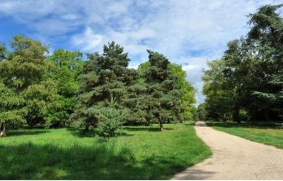 Arboretum de Versailles - Chèvreloup