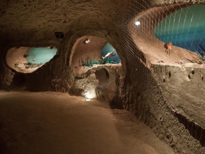 La Cave aux Coquillages