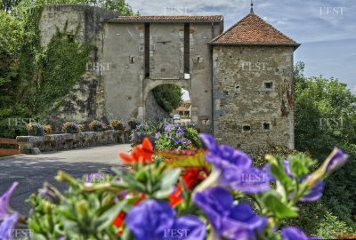 Forteresse médievale de Frouard