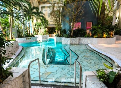 Spa Deep Nature - Center Parcs Domaine des Trois Forêts