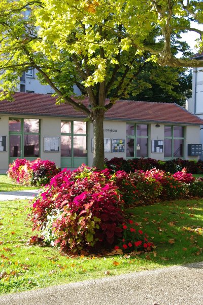 Bibliothèque municipale "La biblio"