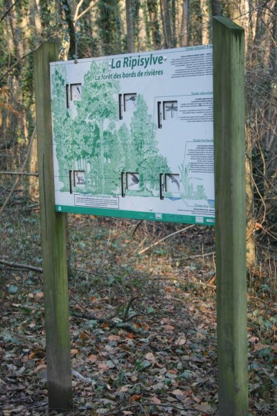 Sentier pédagogique - Entre ruisseau et forêt