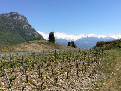 Bibliothèque Municipale