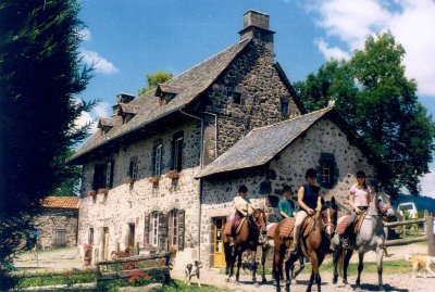 Ferme Equestre Cheval Découverte