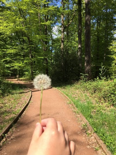 Balade de l'Ile Marie