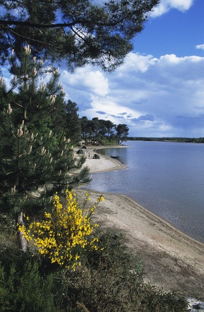 Site naturel de l'étang de Bellebouche