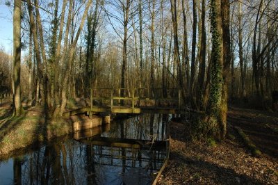 Promenade du Parc départemental des Courtils des Mauves