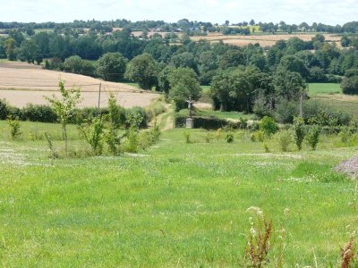 Les jardins de Sarzay