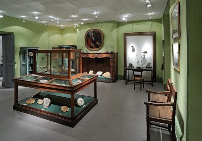 Les Salons du Collège du Puy / Le Musée d'histoire