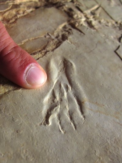 La Plage aux Ptérosaures