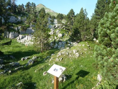 Le Chemin de découverte du Braca