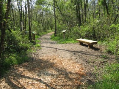 Médiathèque des Hauts de Ste Croix