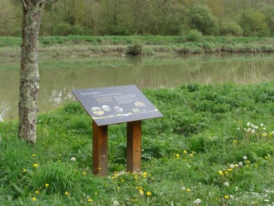 La voie verte de Guiche à Bidache