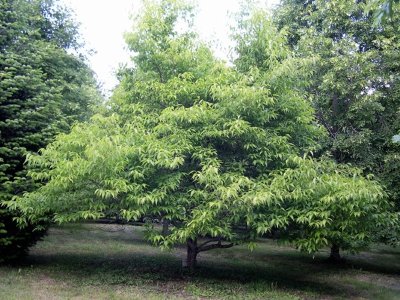 Le Trou de Philippou