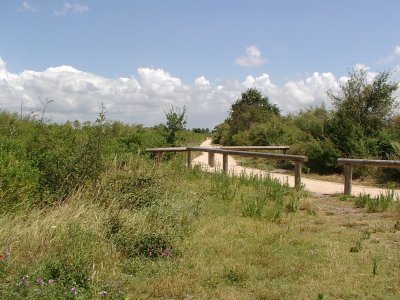 Le sentier du littoral de Gujan-Mestras