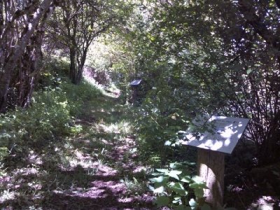 Sentier botanique de St-Léons