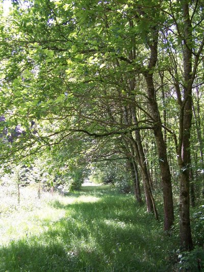 ARBORETUM DE CARDEILHAC