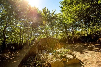 Le tombeau de Merlin