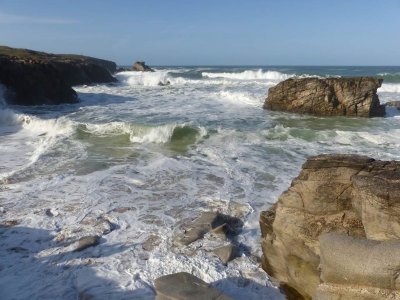 Forêt de Coët er Lann