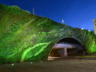 Le mur végétal