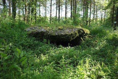 DOLMEN "LA PIERRE TOURNANTE"