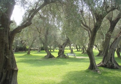 Jardin de l'Olivaie