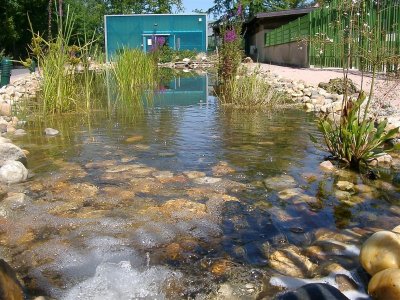 Maison Aquarium du val de Besbre : scénographie de l'eau douce