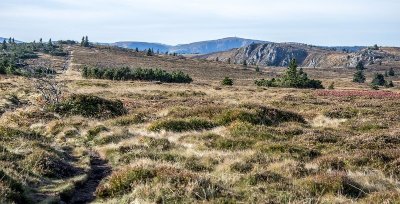 Balade : la cascade du Rudlin