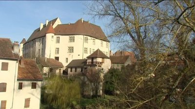Château de Fénétrange