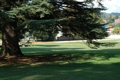Promenade à pied au fil des arbres du Clos Claret