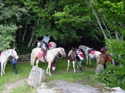Ferme équestre La Licorne Bleue