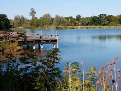 Parc départemental de la Boucle de Montesson